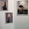Gallery Hire and Exhibition - Image 5